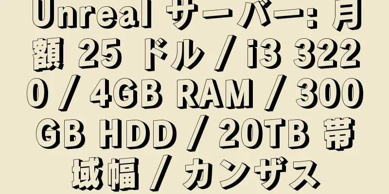 Unreal サーバー: 月額 25 ドル / i3 3220 / 4GB RAM / 300GB HDD / 20TB 帯域幅 / カンザス