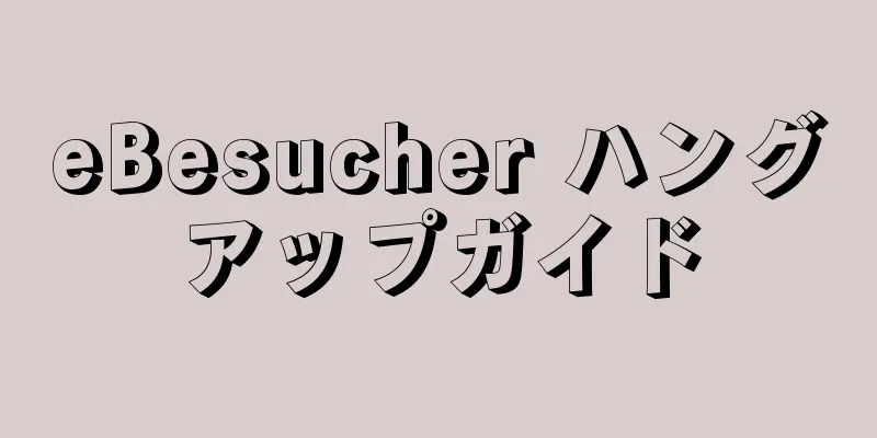 eBesucher ハングアップガイド