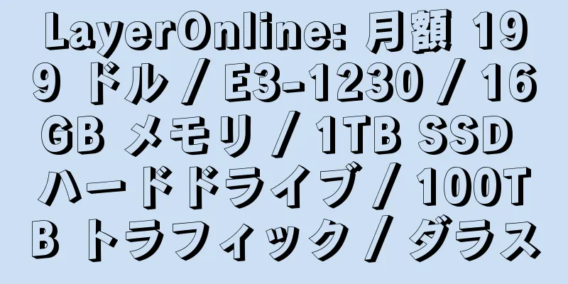 LayerOnline: 月額 199 ドル / E3-1230 / 16GB メモリ / 1TB SSD ハードドライブ / 100TB トラフィック / ダラス