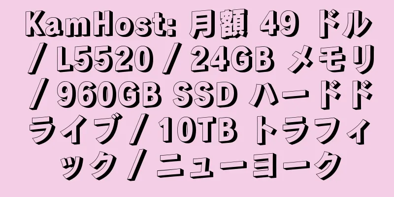 KamHost: 月額 49 ドル / L5520 / 24GB メモリ / 960GB SSD ハードドライブ / 10TB トラフィック / ニューヨーク