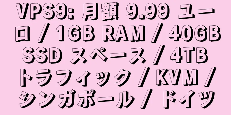 VPS9: 月額 9.99 ユーロ / 1GB RAM / 40GB SSD スペース / 4TB トラフィック / KVM / シンガポール / ドイツ