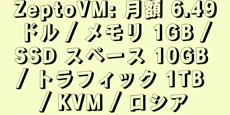 ZeptoVM: 月額 6.49 ドル / メモリ 1GB / SSD スペース 10GB / トラフィック 1TB / KVM / ロシア