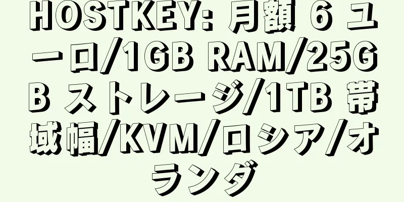 HOSTKEY: 月額 6 ユーロ/1GB RAM/25GB ストレージ/1TB 帯域幅/KVM/ロシア/オランダ