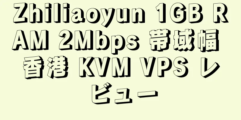 Zhiliaoyun 1GB RAM 2Mbps 帯域幅 香港 KVM VPS レビュー