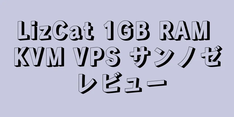 LizCat 1GB RAM KVM VPS サンノゼ レビュー