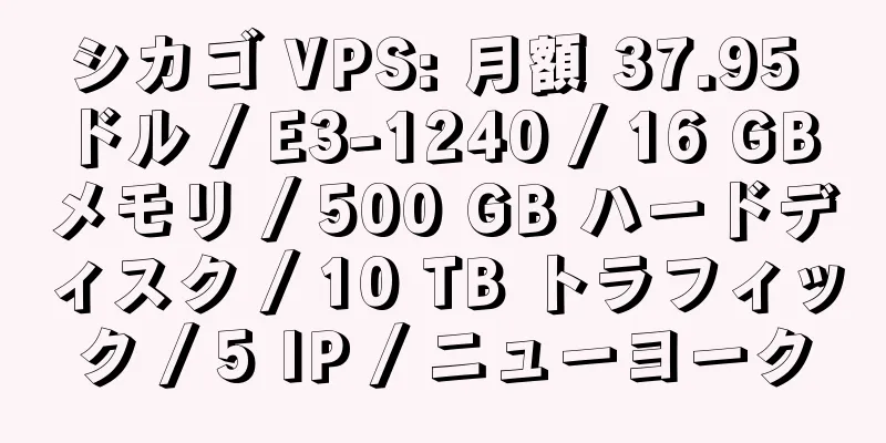 シカゴ VPS: 月額 37.95 ドル / E3-1240 / 16 GB メモリ / 500 GB ハードディスク / 10 TB トラフィック / 5 IP / ニューヨーク