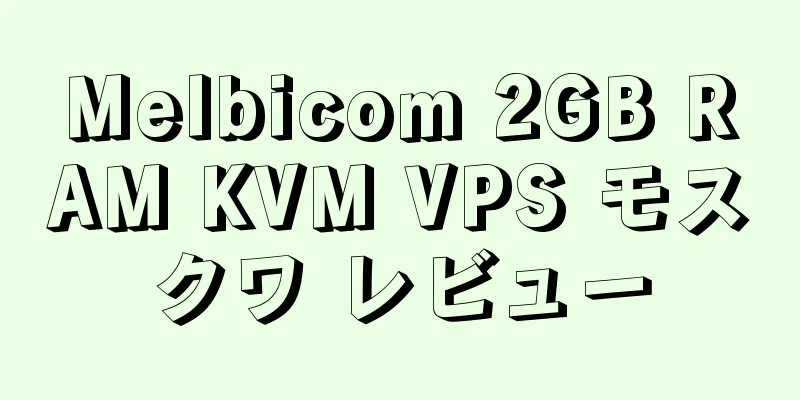 Melbicom 2GB RAM KVM VPS モスクワ レビュー