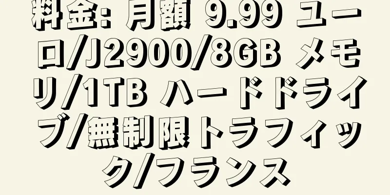 料金: 月額 9.99 ユーロ/J2900/8GB メモリ/1TB ハードドライブ/無制限トラフィック/フランス