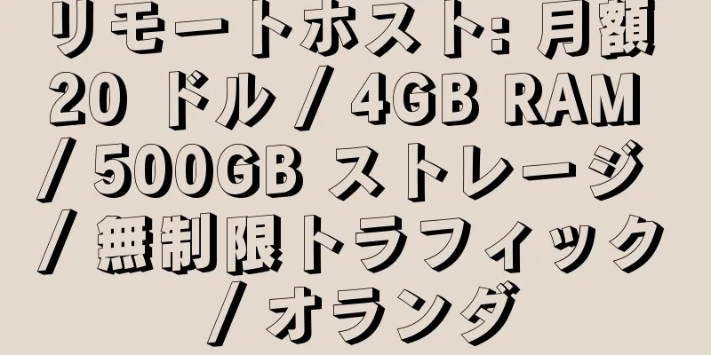 リモートホスト: 月額 20 ドル / 4GB RAM / 500GB ストレージ / 無制限トラフィック / オランダ