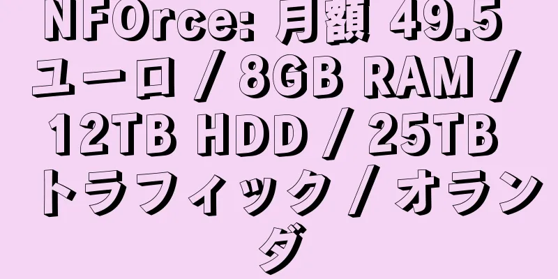 NFOrce: 月額 49.5 ユーロ / 8GB RAM / 12TB HDD / 25TB トラフィック / オランダ