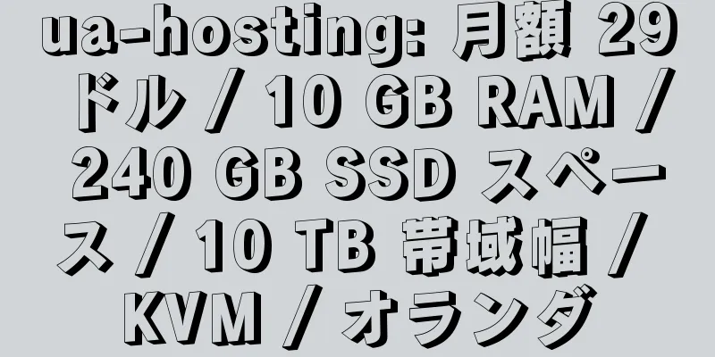 ua-hosting: 月額 29 ドル / 10 GB RAM / 240 GB SSD スペース / 10 TB 帯域幅 / KVM / オランダ