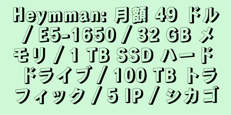 Heymman: 月額 49 ドル / E5-1650 / 32 GB メモリ / 1 TB SSD ハード ドライブ / 100 TB トラフィック / 5 IP / シカゴ