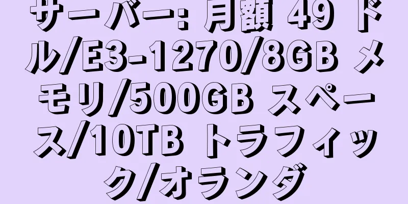 サーバー: 月額 49 ドル/E3-1270/8GB メモリ/500GB スペース/10TB トラフィック/オランダ