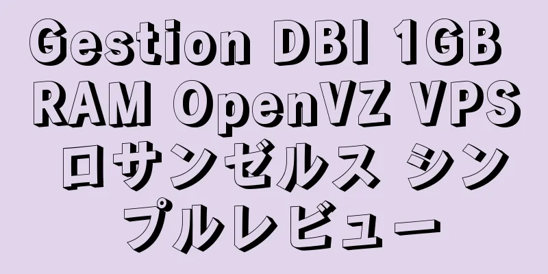 Gestion DBI 1GB RAM OpenVZ VPS ロサンゼルス シンプルレビュー