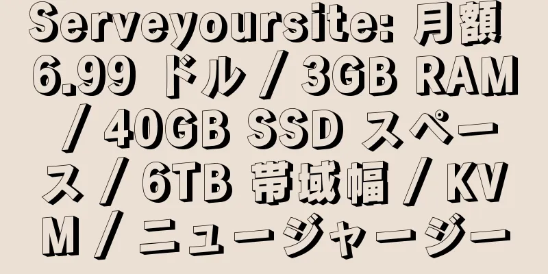 Serveyoursite: 月額 6.99 ドル / 3GB RAM / 40GB SSD スペース / 6TB 帯域幅 / KVM / ニュージャージー