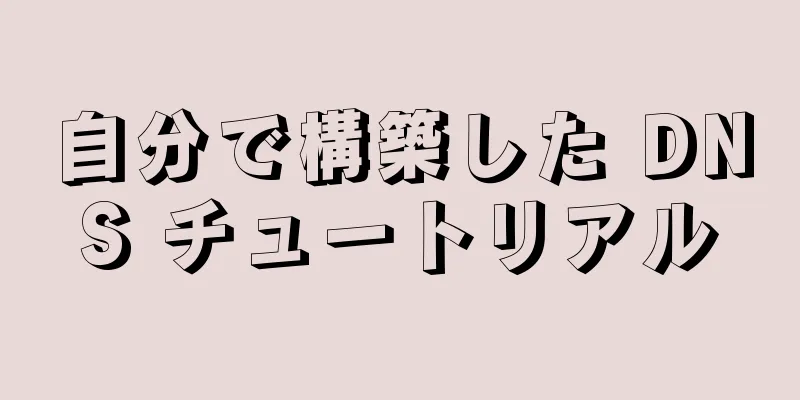 自分で構築した DNS チュートリアル