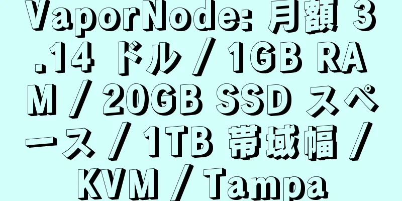 VaporNode: 月額 3.14 ドル / 1GB RAM / 20GB SSD スペース / 1TB 帯域幅 / KVM / Tampa