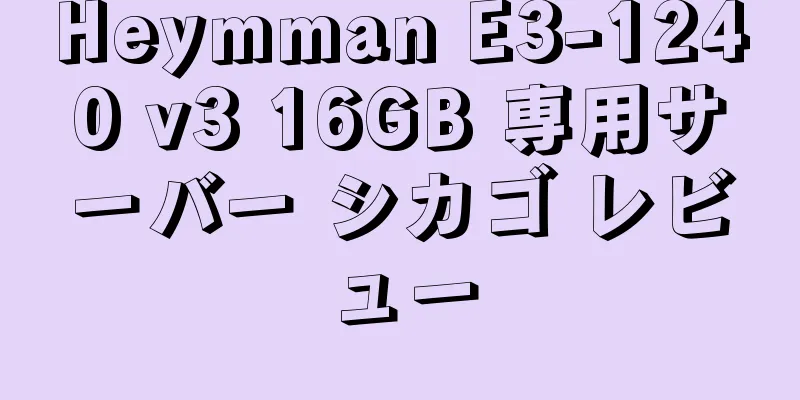 Heymman E3-1240 v3 16GB 専用サーバー シカゴ レビュー