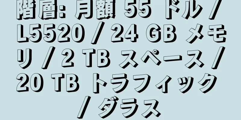 階層: 月額 55 ドル / L5520 / 24 GB メモリ / 2 TB スペース / 20 TB トラフィック / ダラス