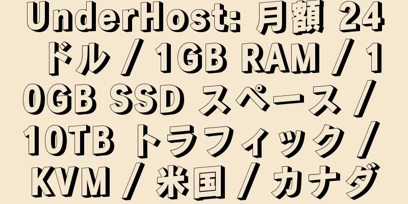 UnderHost: 月額 24 ドル / 1GB RAM / 10GB SSD スペース / 10TB トラフィック / KVM / 米国 / カナダ