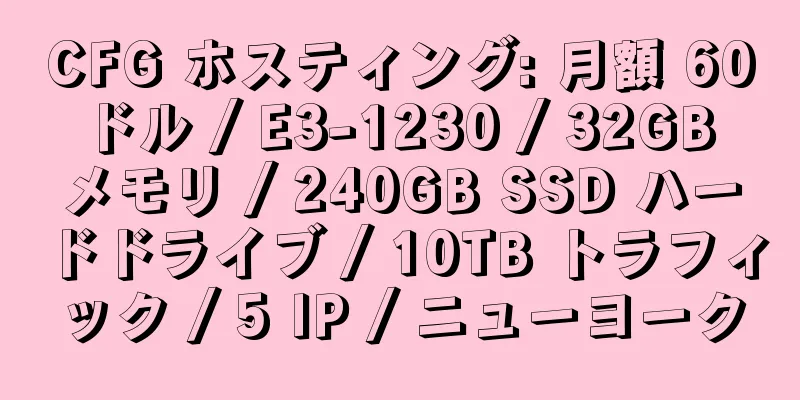 CFG ホスティング: 月額 60 ドル / E3-1230 / 32GB メモリ / 240GB SSD ハードドライブ / 10TB トラフィック / 5 IP / ニューヨーク