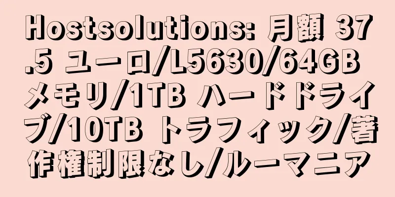 Hostsolutions: 月額 37.5 ユーロ/L5630/64GB メモリ/1TB ハードドライブ/10TB トラフィック/著作権制限なし/ルーマニア