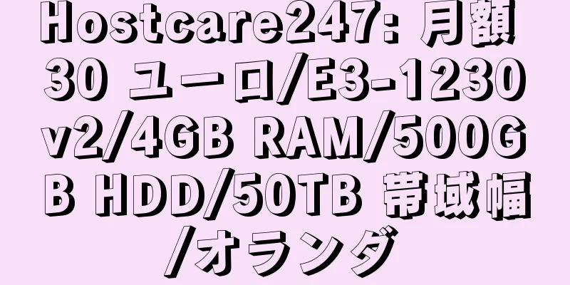 Hostcare247: 月額 30 ユーロ/E3-1230v2/4GB RAM/500GB HDD/50TB 帯域幅/オランダ