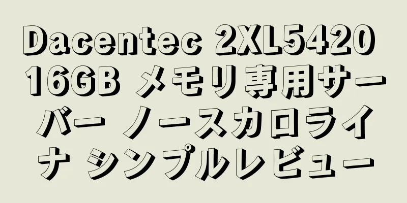 Dacentec 2XL5420 16GB メモリ専用サーバー ノースカロライナ シンプルレビュー