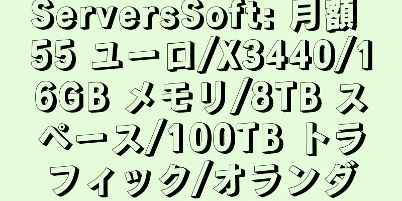 ServersSoft: 月額 55 ユーロ/X3440/16GB メモリ/8TB スペース/100TB トラフィック/オランダ