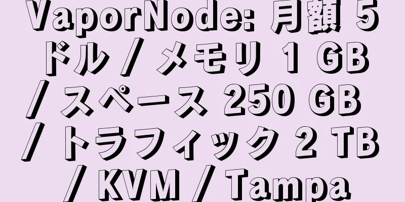 VaporNode: 月額 5 ドル / メモリ 1 GB / スペース 250 GB / トラフィック 2 TB / KVM / Tampa