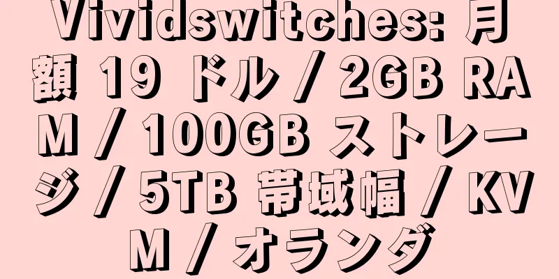 Vividswitches: 月額 19 ドル / 2GB RAM / 100GB ストレージ / 5TB 帯域幅 / KVM / オランダ