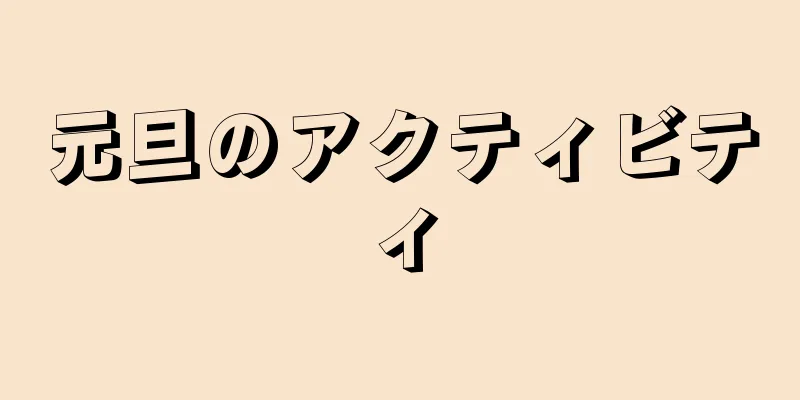 元旦のアクティビティ