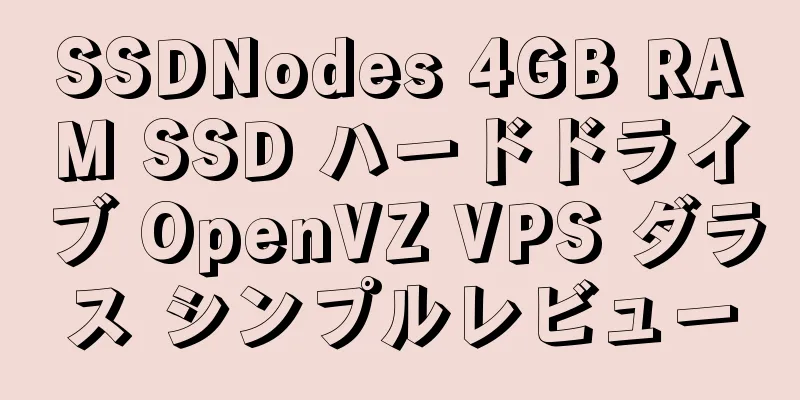 SSDNodes 4GB RAM SSD ハードドライブ OpenVZ VPS ダラス シンプルレビュー