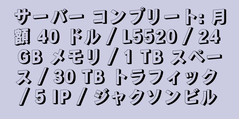 サーバー コンプリート: 月額 40 ドル / L5520 / 24 GB メモリ / 1 TB スペース / 30 TB トラフィック / 5 IP / ジャクソンビル