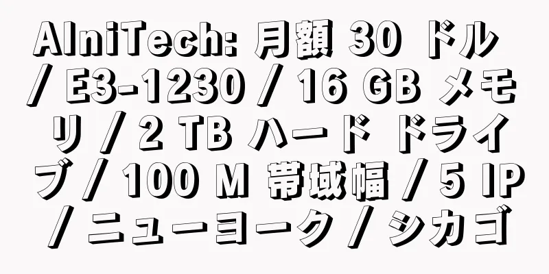 AlniTech: 月額 30 ドル / E3-1230 / 16 GB メモリ / 2 TB ハード ドライブ / 100 M 帯域幅 / 5 IP / ニューヨーク / シカゴ