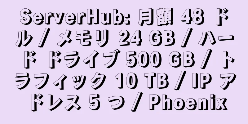 ServerHub: 月額 48 ドル / メモリ 24 GB / ハード ドライブ 500 GB / トラフィック 10 TB / IP アドレス 5 つ / Phoenix