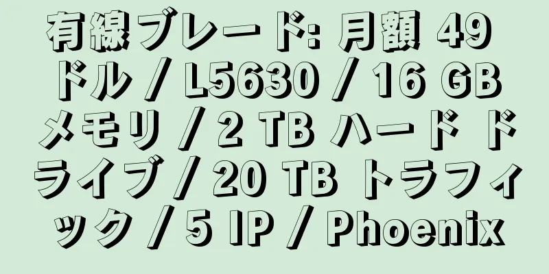 有線ブレード: 月額 49 ドル / L5630 / 16 GB メモリ / 2 TB ハード ドライブ / 20 TB トラフィック / 5 IP / Phoenix