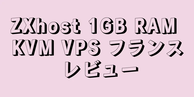 ZXhost 1GB RAM KVM VPS フランス レビュー