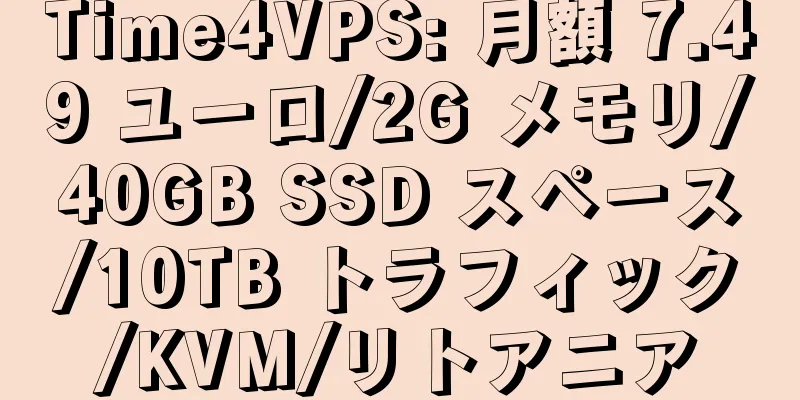 Time4VPS: 月額 7.49 ユーロ/2G メモリ/40GB SSD スペース/10TB トラフィック/KVM/リトアニア
