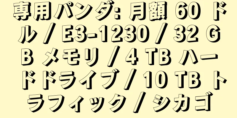 専用パンダ: 月額 60 ドル / E3-1230 / 32 GB メモリ / 4 TB ハードドライブ / 10 TB トラフィック / シカゴ