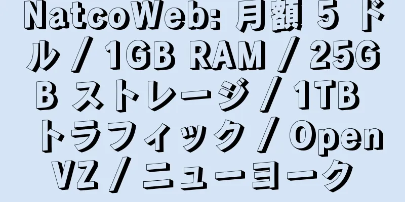 NatcoWeb: 月額 5 ドル / 1GB RAM / 25GB ストレージ / 1TB トラフィック / OpenVZ / ニューヨーク