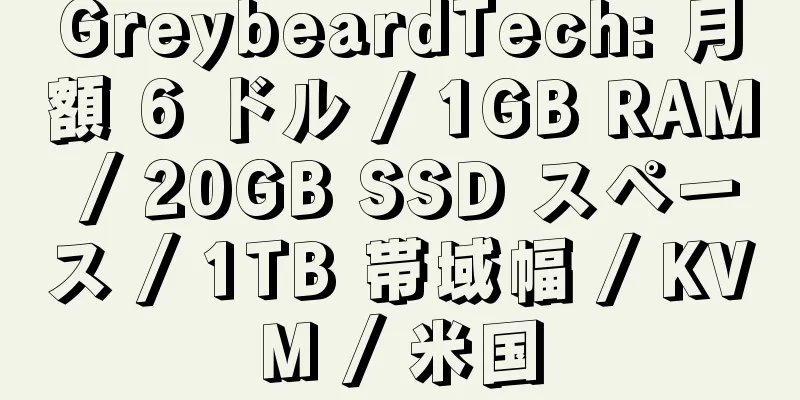 GreybeardTech: 月額 6 ドル / 1GB RAM / 20GB SSD スペース / 1TB 帯域幅 / KVM / 米国