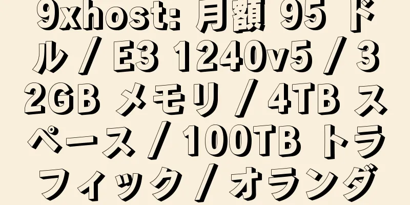 9xhost: 月額 95 ドル / E3 1240v5 / 32GB メモリ / 4TB スペース / 100TB トラフィック / オランダ