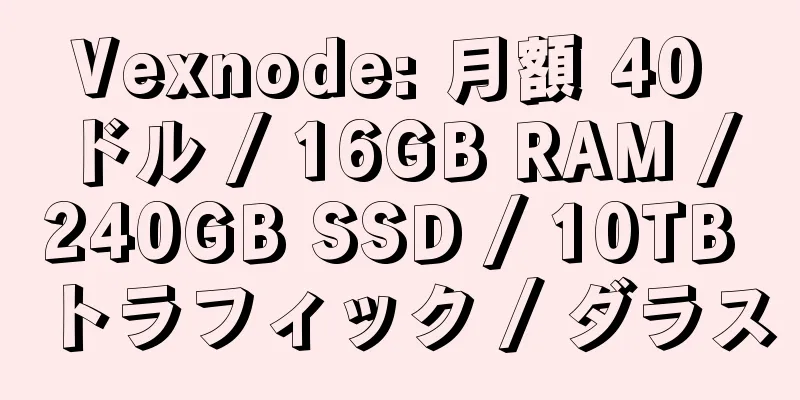 Vexnode: 月額 40 ドル / 16GB RAM / 240GB SSD / 10TB トラフィック / ダラス