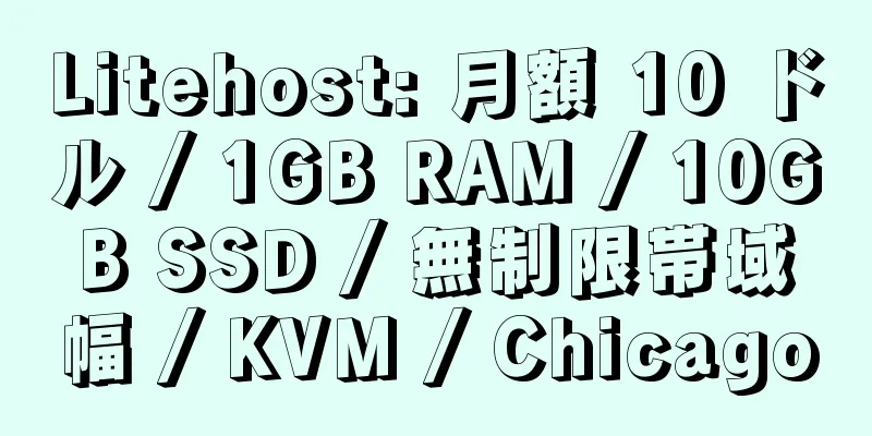 Litehost: 月額 10 ドル / 1GB RAM / 10GB SSD / 無制限帯域幅 / KVM / Chicago