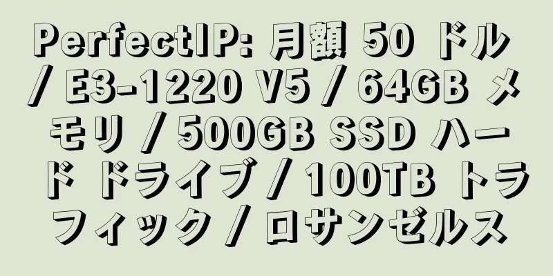 PerfectIP: 月額 50 ドル / E3-1220 V5 / 64GB メモリ / 500GB SSD ハード ドライブ / 100TB トラフィック / ロサンゼルス