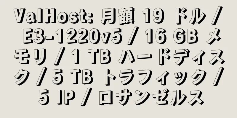 ValHost: 月額 19 ドル / E3-1220v5 / 16 GB メモリ / 1 TB ハードディスク / 5 TB トラフィック / 5 IP / ロサンゼルス