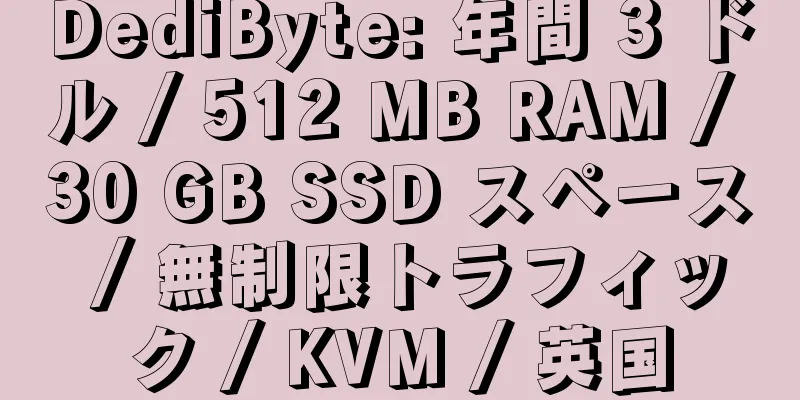 DediByte: 年間 3 ドル / 512 MB RAM / 30 GB SSD スペース / 無制限トラフィック / KVM / 英国