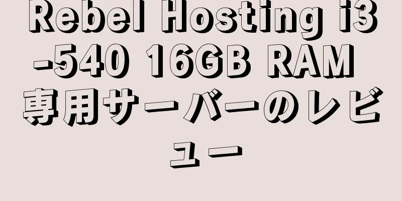 Rebel Hosting i3-540 16GB RAM 専用サーバーのレビュー