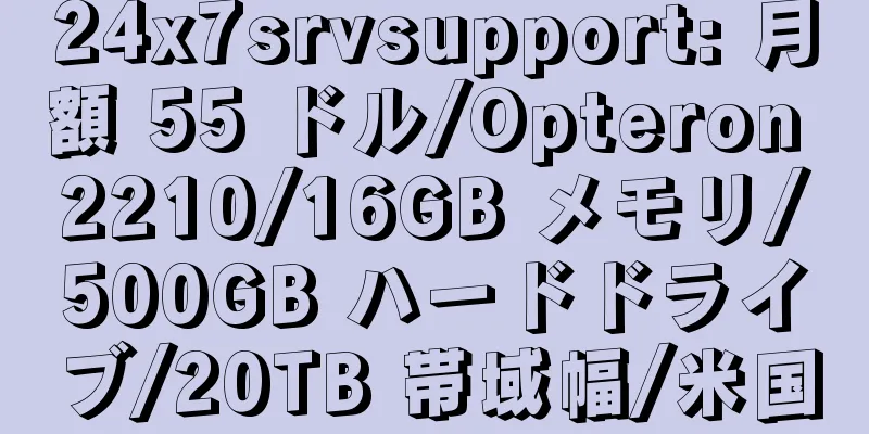 24x7srvsupport: 月額 55 ドル/Opteron 2210/16GB メモリ/500GB ハードドライブ/20TB 帯域幅/米国